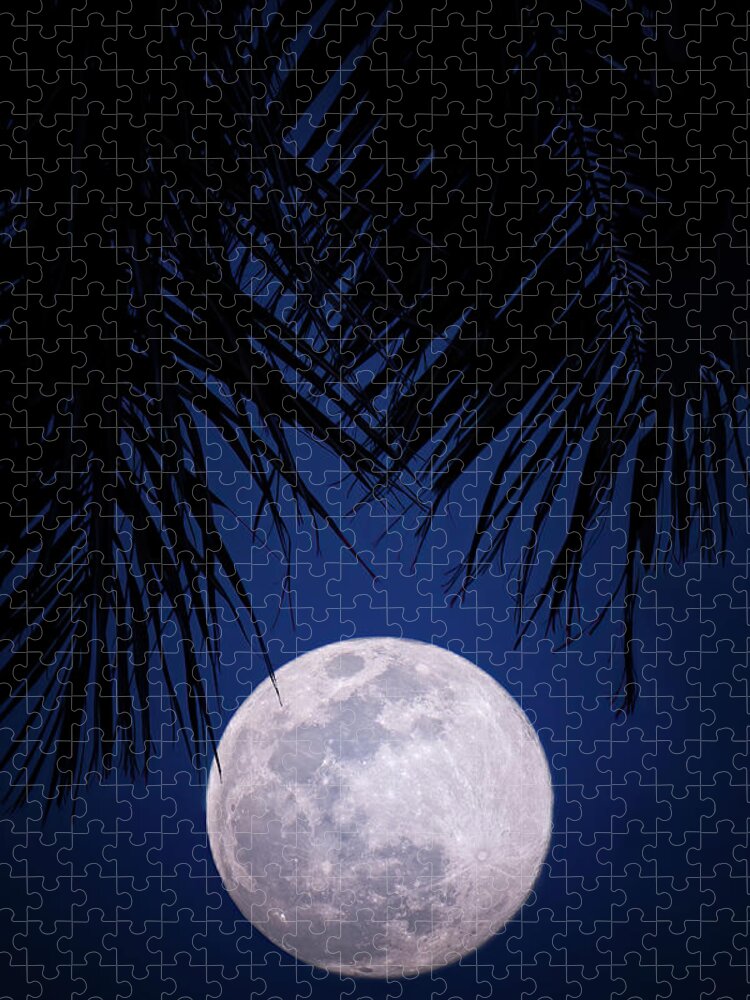 Moon Jigsaw Puzzle featuring the photograph Tropical Moonglow by Mark Andrew Thomas
