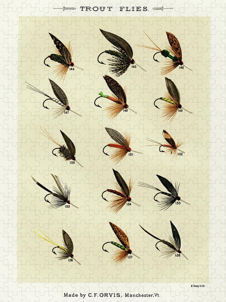 Set of Fly Fishing Art Prints Orvis Salmon Flies Print Set Vintage
