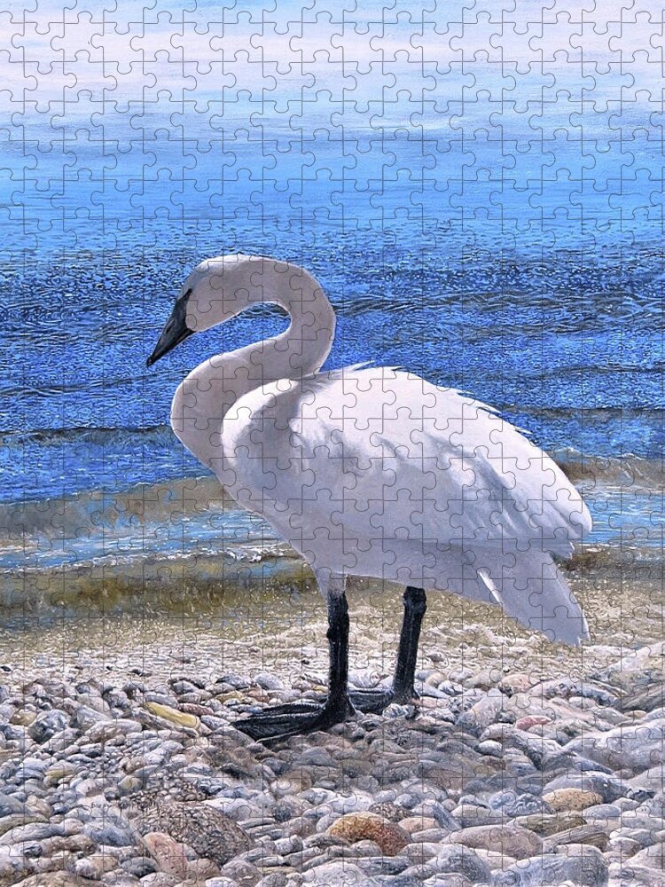 Trumpeter Swan Jigsaw Puzzle featuring the painting Trumpeter Swan by Barry MacKay