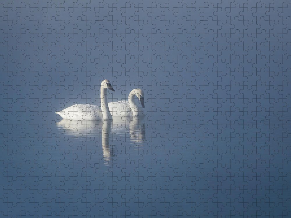 Swan Jigsaw Puzzle featuring the photograph Trumpeter Swans in the Mist by Linda Villers