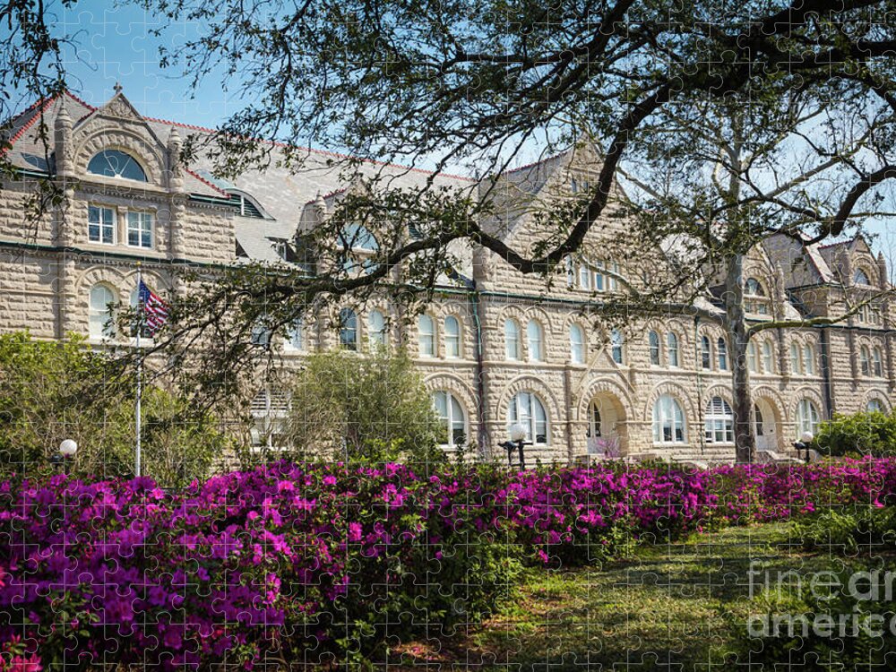 Louisiana Jigsaw Puzzle featuring the photograph Tulane University by Agnes Caruso