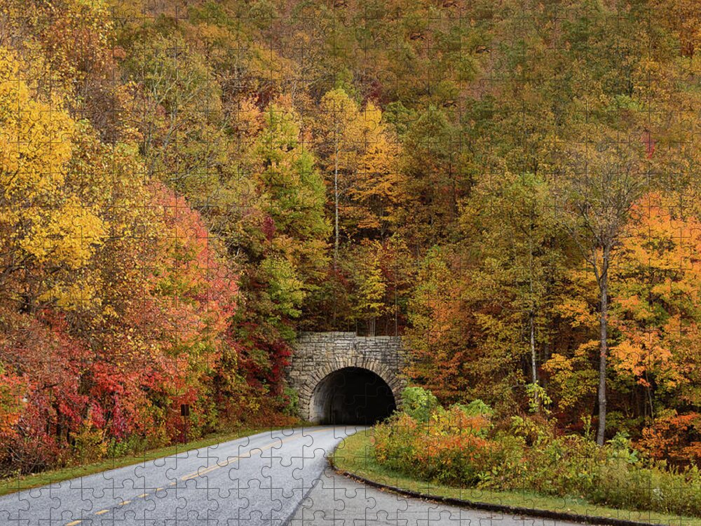 Blue Ridge Parkway Jigsaw Puzzle featuring the photograph Tunnel of Fall on the Blue Ridge Parkway by Joni Eskridge