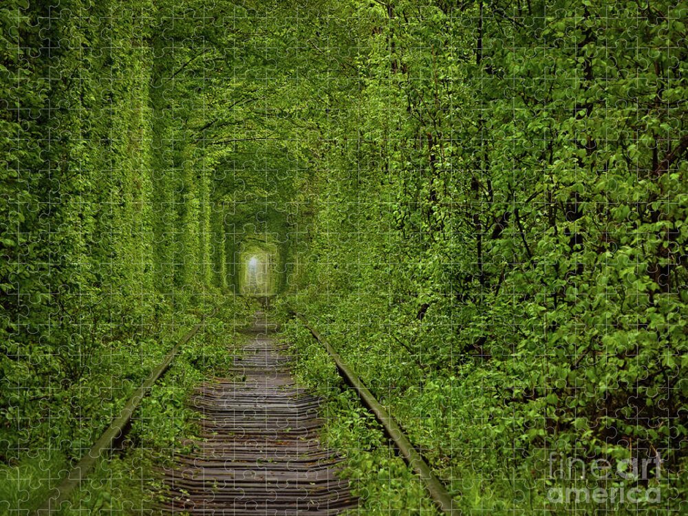 Tunnel Jigsaw Puzzle featuring the photograph Tunnel of Love by Steven Liveoak