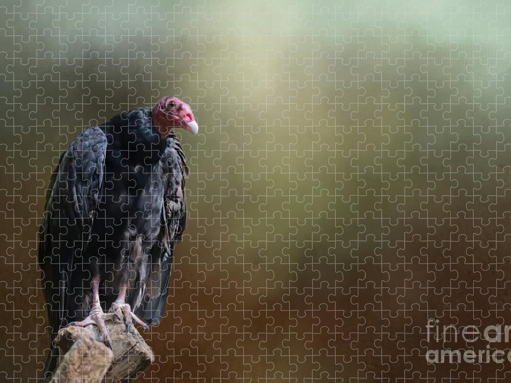 Turkey Vulture Jigsaw Puzzle featuring the photograph Turkey Vulture by Eva Lechner