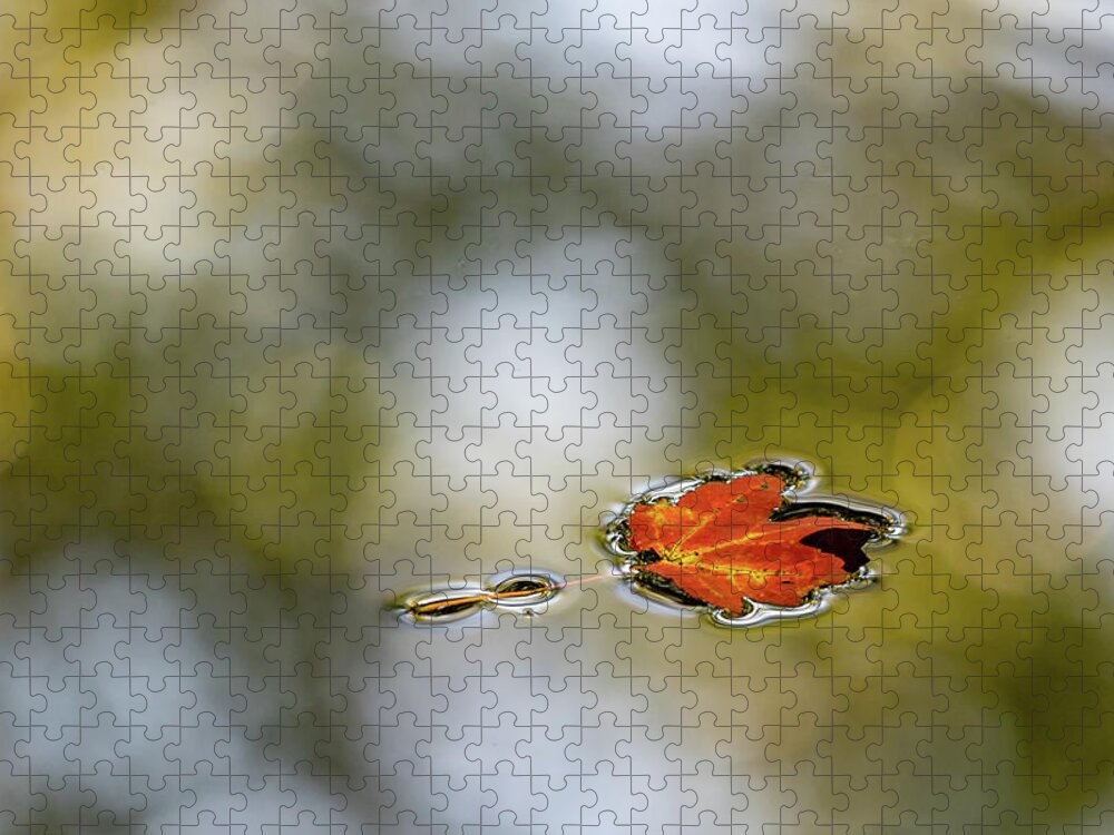 Autumn Jigsaw Puzzle featuring the photograph Twin Lakes Gold by Kevin Suttlehan