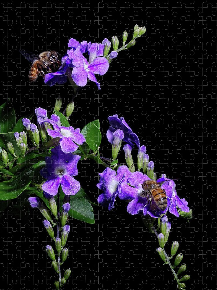 Bees Jigsaw Puzzle featuring the photograph Two Honeybees by Richard Rizzo