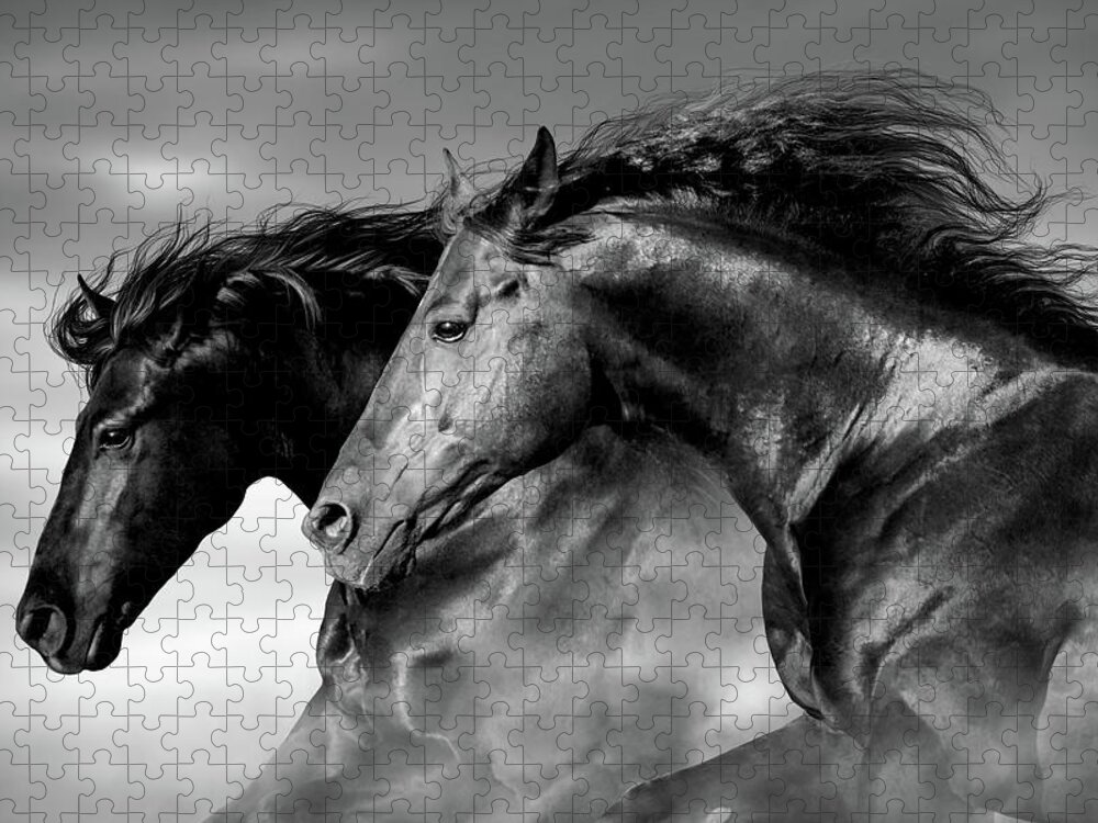 Horse Jigsaw Puzzle featuring the digital art Two Horse Heads - black-white by Steve Ladner