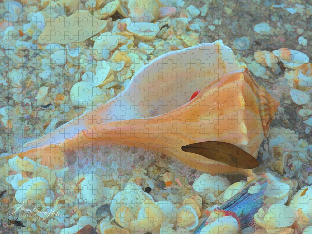 Conch Shell Jigsaw Puzzle featuring the photograph Underwater by Alison Belsan Horton