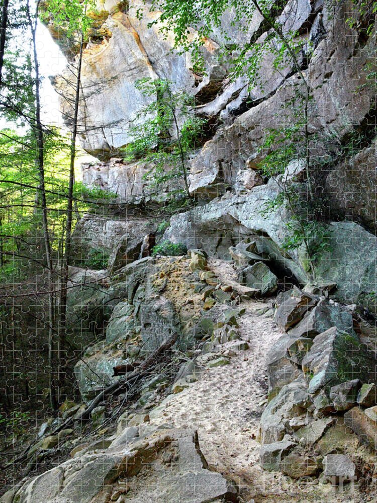Pogue Creek Canyon Jigsaw Puzzle featuring the photograph Unnamed Rock Face 7 by Phil Perkins