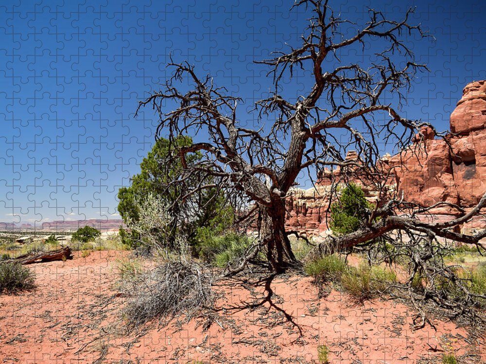 Landscape Jigsaw Puzzle featuring the photograph Utah Canyonlands Photography 20180515-32 by Rowan Lyford