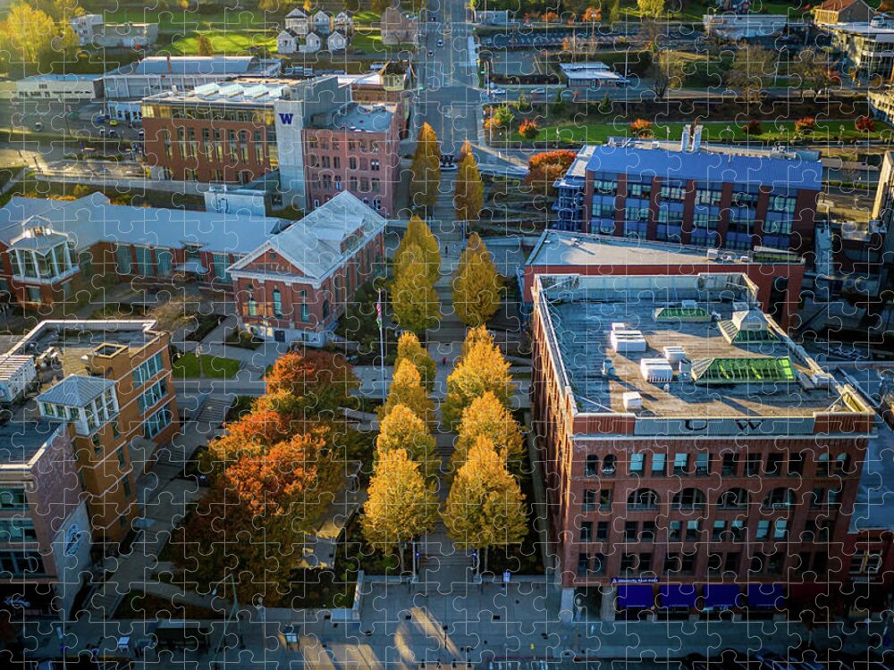 Drone Jigsaw Puzzle featuring the photograph UW Tacoma Fall by Clinton Ward