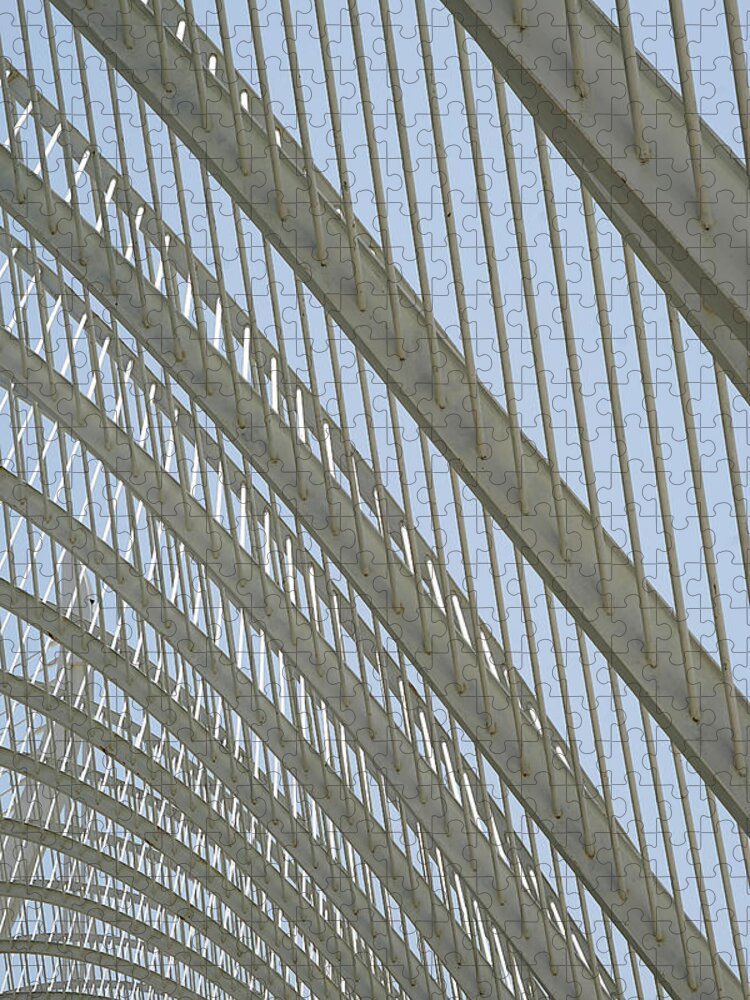 Valencia - The Umbriacle Jigsaw Puzzle featuring the photograph Valencia - The Umbracle Study 1 by Richard Reeve
