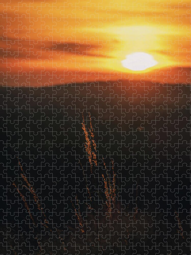 Sun Jigsaw Puzzle featuring the photograph Valley Sun by Jason Fink