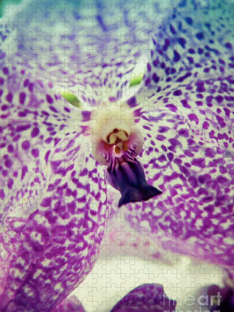 Singapore Jigsaw Puzzle featuring the photograph Vanda Orchid in Blue by Tanya Owens