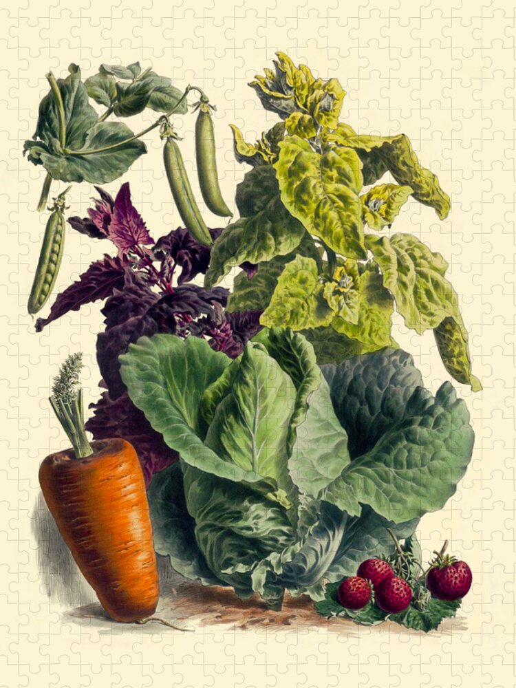 Vegetables Jigsaw Puzzle featuring the digital art Veggie Lover by Madame Memento