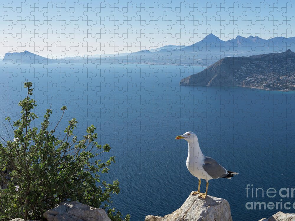 Seagull Jigsaw Puzzle featuring the photograph View of the Mediterranean Sea and towards Benidorm by Adriana Mueller