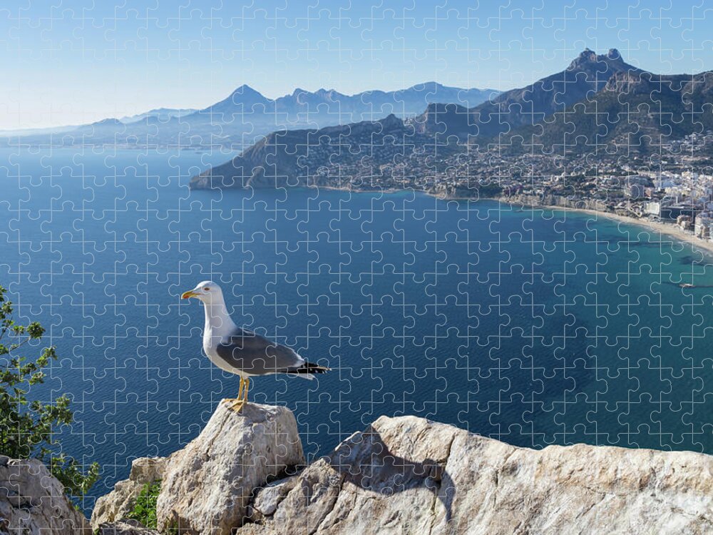Seagull Jigsaw Puzzle featuring the photograph View towards the mountains of the Mediterranean coast by Adriana Mueller
