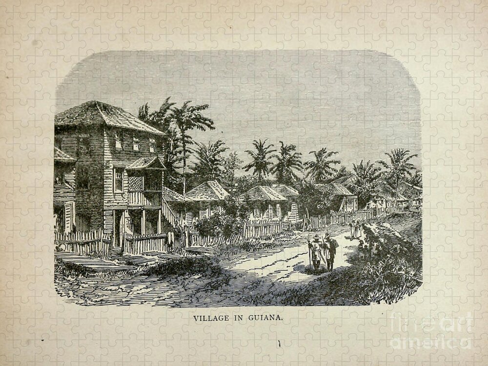 Village Jigsaw Puzzle featuring the photograph Village in Guiana b1 by Historic illustrations