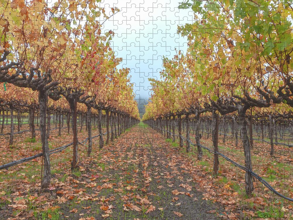 Season Jigsaw Puzzle featuring the photograph Vines Forest by Jonathan Nguyen