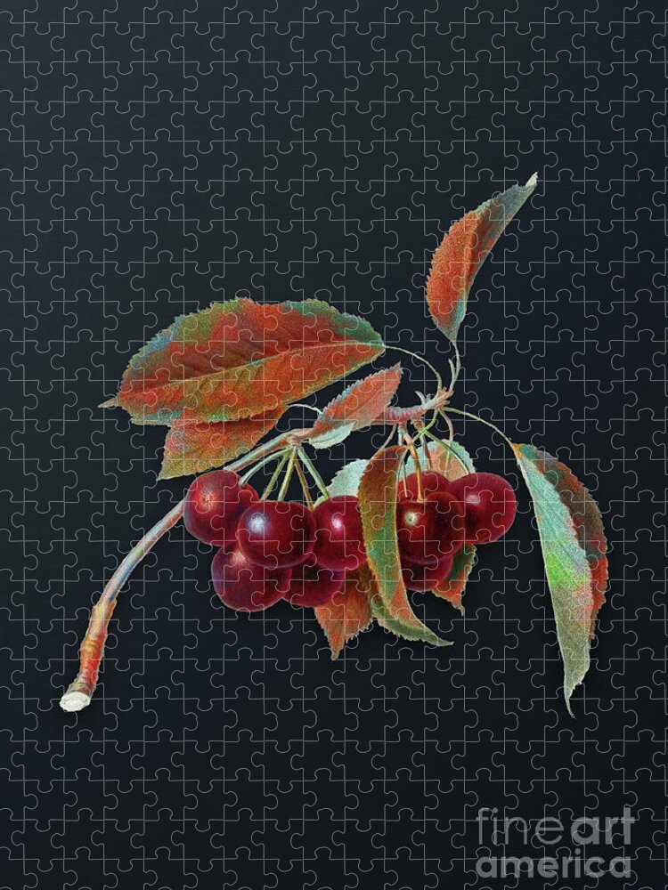 Vintage Jigsaw Puzzle featuring the mixed media Vintage Cherry Botanical Art on Dark Steel Gray n.0152 by Holy Rock Design