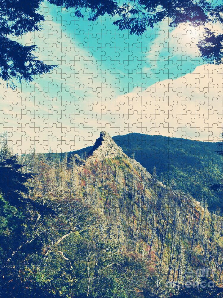 Retro Jigsaw Puzzle featuring the photograph Vintage Mountains by Phil Perkins
