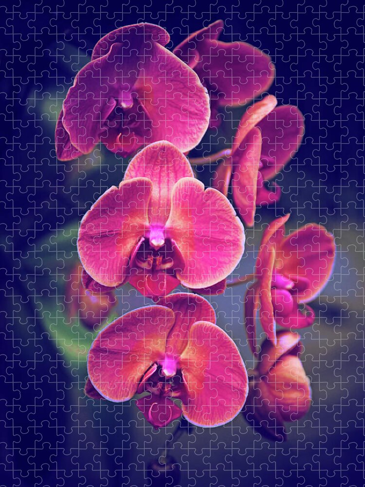 Orchids Jigsaw Puzzle featuring the photograph Twilight Orchids by Jessica Jenney