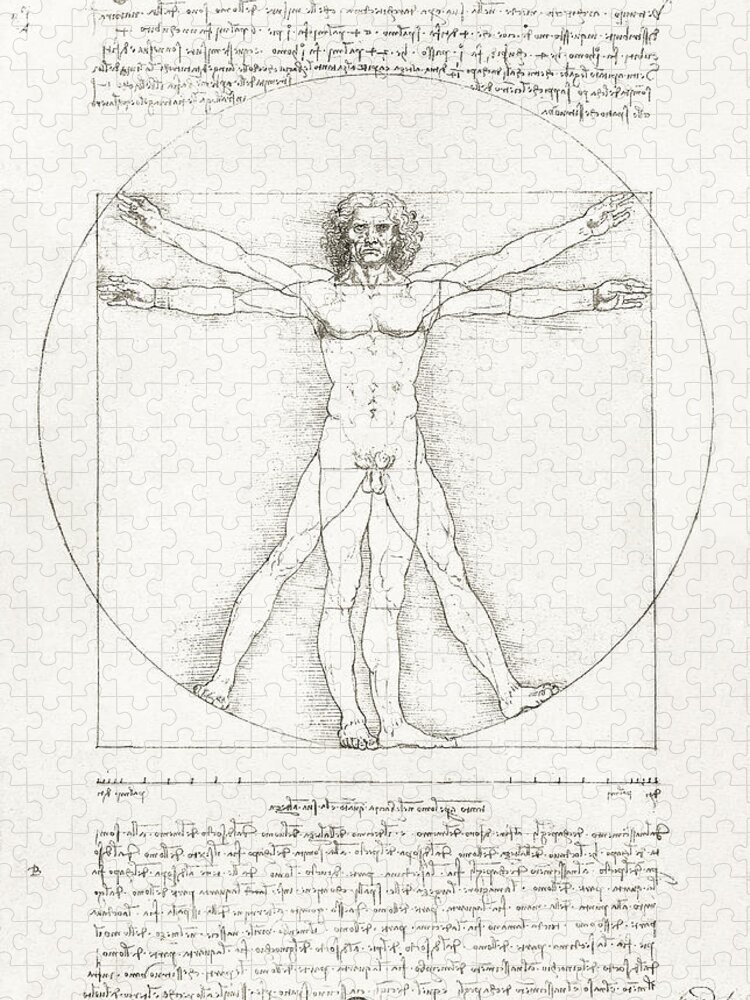 Leonardo Jigsaw Puzzle featuring the drawing Vitruvian by Leonardo Da Vinci by Mango Art