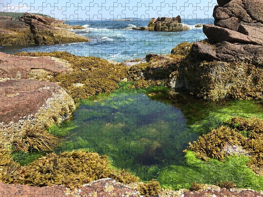 Ocean Jigsaw Puzzle featuring the photograph Wading Pool by Lee Darnell