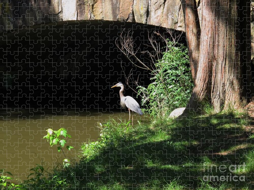 Elizabeth Park Jigsaw Puzzle featuring the photograph Waiting under the bridge by B Rossitto