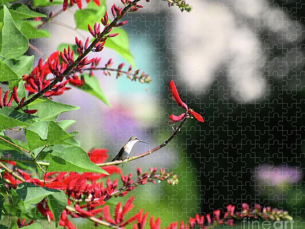 Hummingbird Jigsaw Puzzle featuring the photograph Walking on Sunshine by Kerri Farley