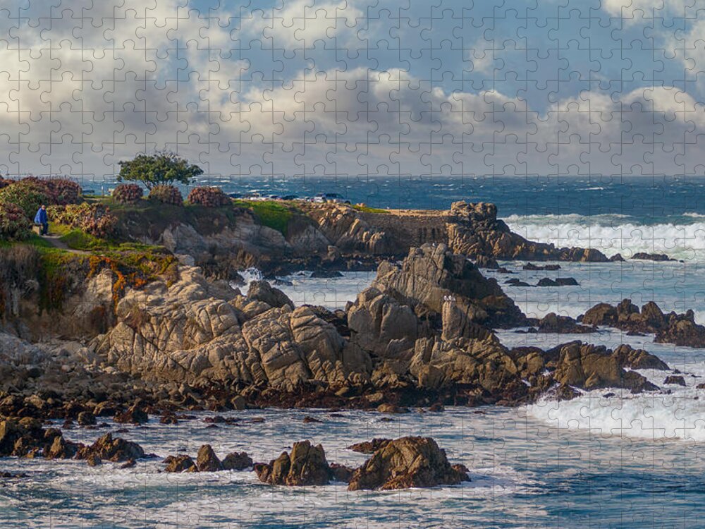 Pacific Grove Jigsaw Puzzle featuring the photograph Watching Winter Waves by Derek Dean