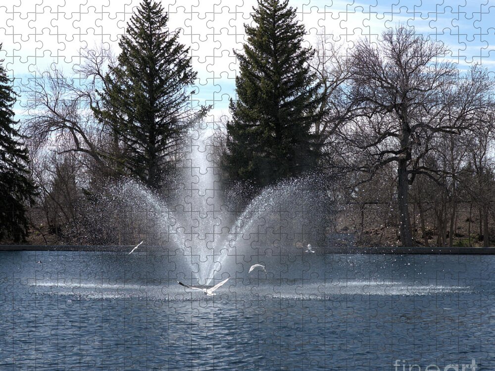 Water Jigsaw Puzzle featuring the photograph Water fronds and Gulls by Kae Cheatham