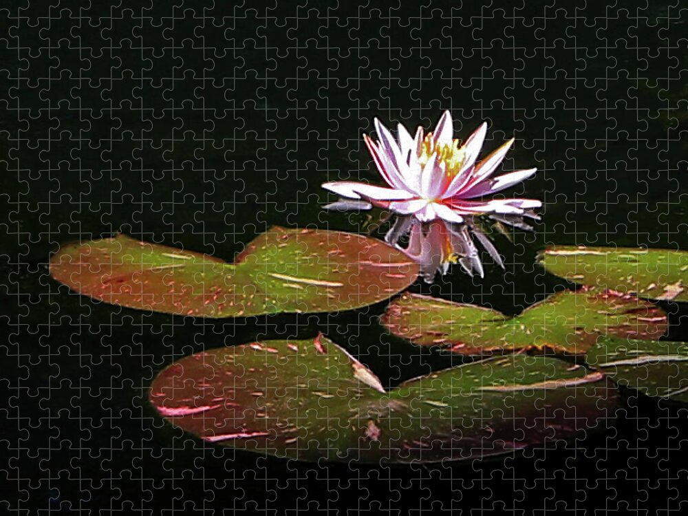 Water Lily Jigsaw Puzzle featuring the photograph Water Lily 3 by Richard Krebs
