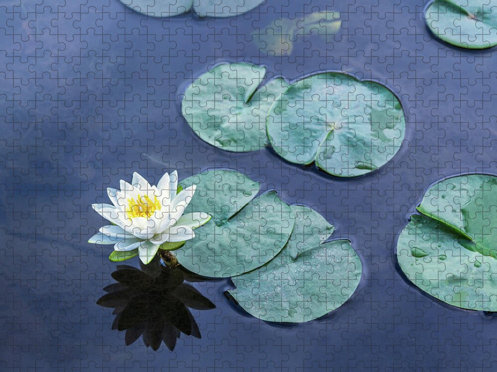 White Jigsaw Puzzle featuring the photograph Water Lily Named for a Nymph by Marianne Campolongo