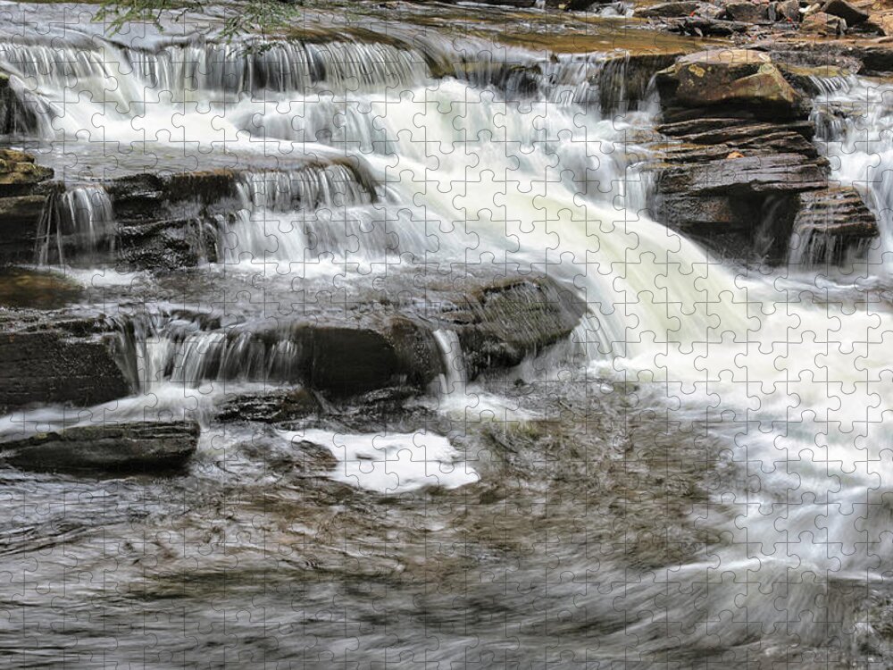 Nature Jigsaw Puzzle featuring the photograph Water Must Fall by Scott Burd