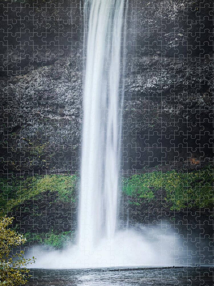 Forest Jigsaw Puzzle featuring the photograph Waterfall G 1x2 by Ryan Weddle