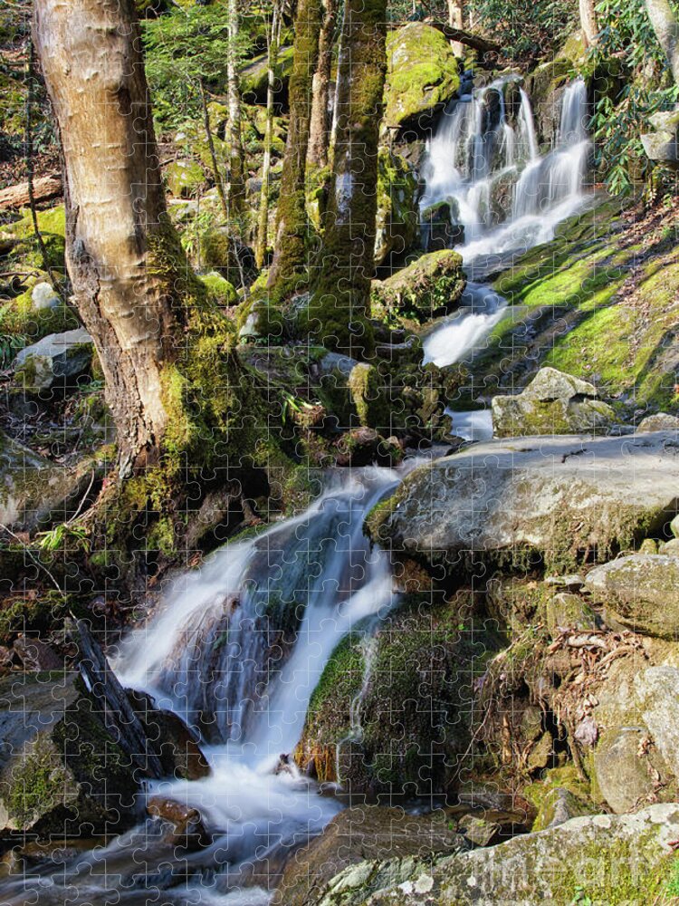 Tennessee Jigsaw Puzzle featuring the photograph Waterfall In The Smokies by Phil Perkins