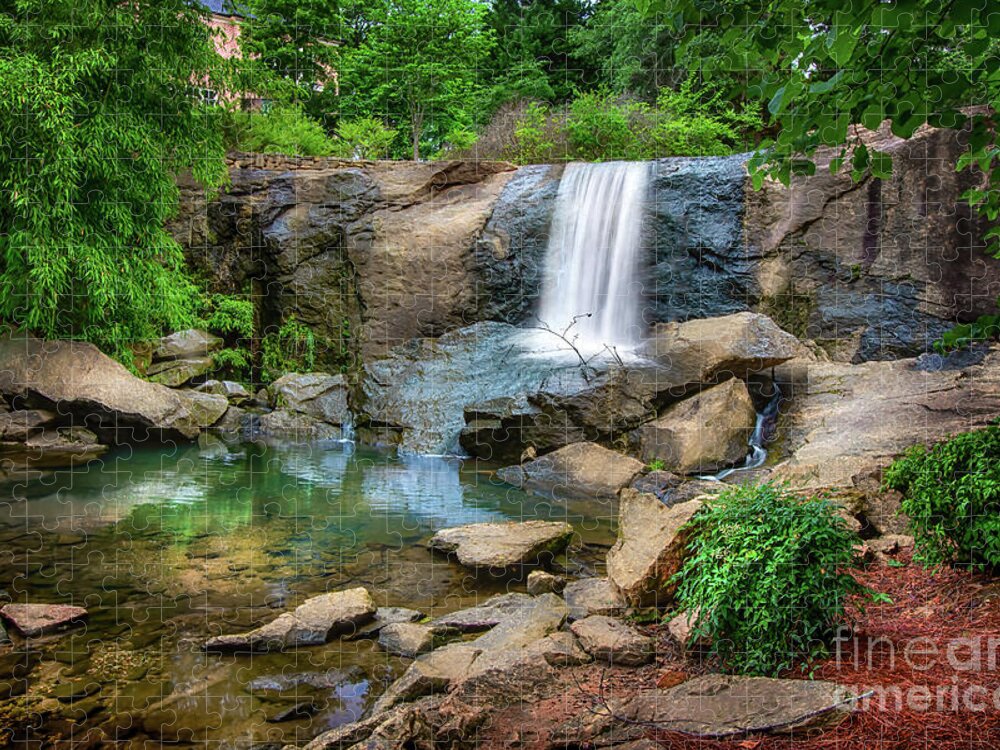 Waterfall Jigsaw Puzzle featuring the photograph Waterfall on the Reedy by Shelia Hunt