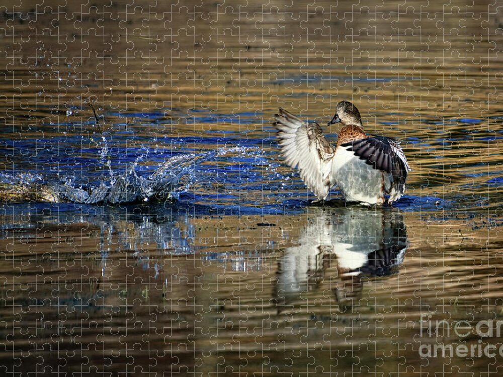 Duck Jigsaw Puzzle featuring the photograph Waterplay by Thomas Nay
