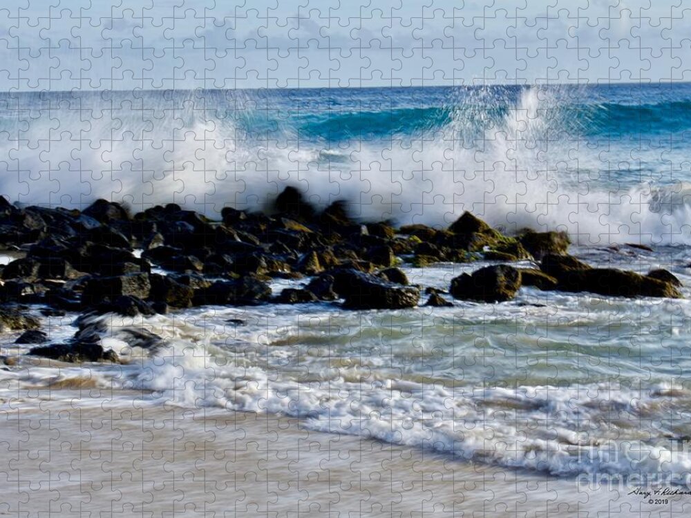 Action Jigsaw Puzzle featuring the photograph Wave Action Brenneckes Beach 1 by Gary F Richards