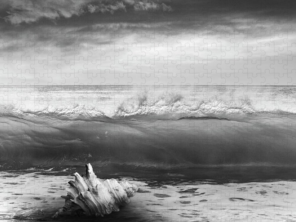 Clouds Jigsaw Puzzle featuring the photograph Waves and Shells III Black and White by Debra and Dave Vanderlaan