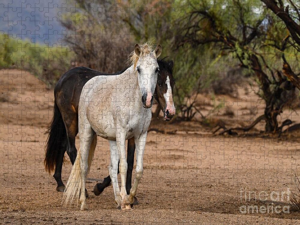Salt River Wild Horses Coyote And Mama Jigsaw Puzzle featuring the digital art We are Dirty after a Rain but we are still Beautiful by Tammy Keyes