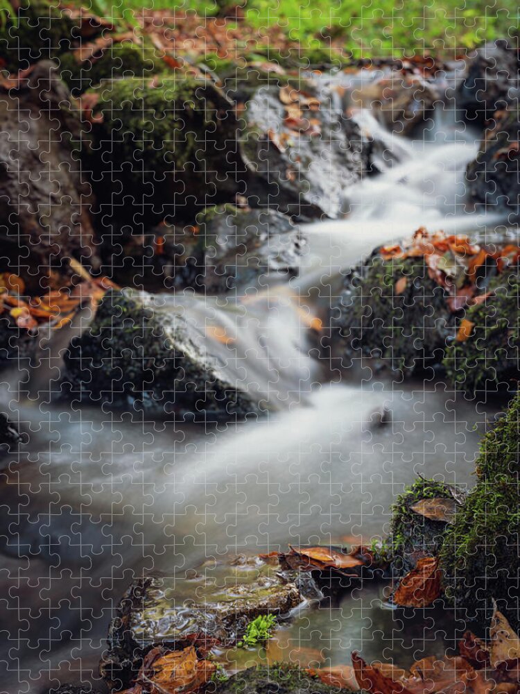 Autumn Jigsaw Puzzle featuring the photograph We got leaves... by Gavin Lewis