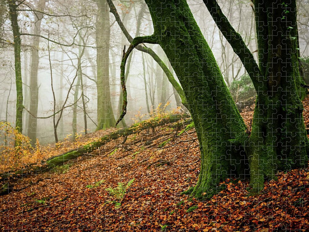 Forest Jigsaw Puzzle featuring the photograph We lean... by Gavin Lewis
