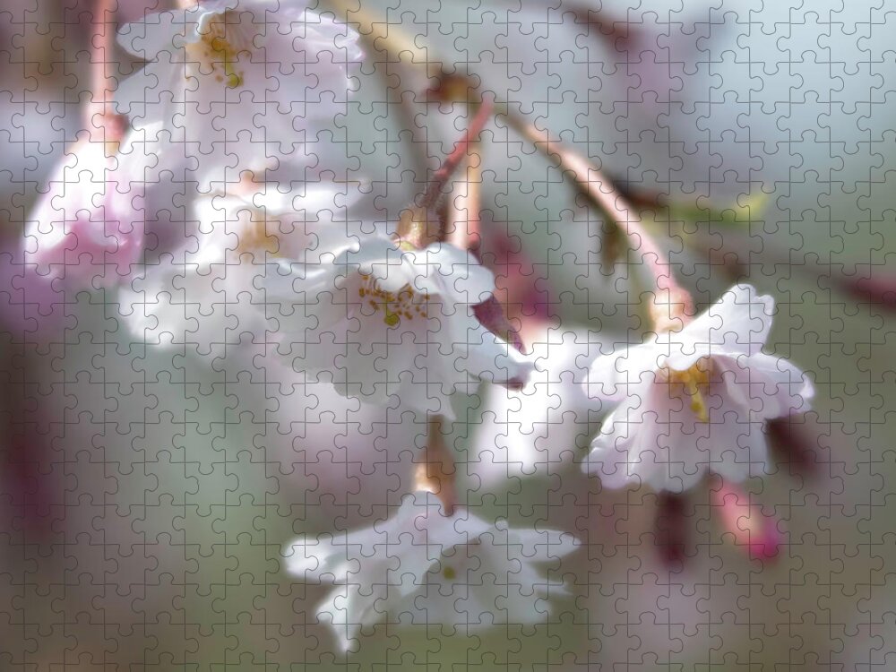 Weeping Cherry Jigsaw Puzzle featuring the photograph Weeping Cherry by Forest Floor Photography