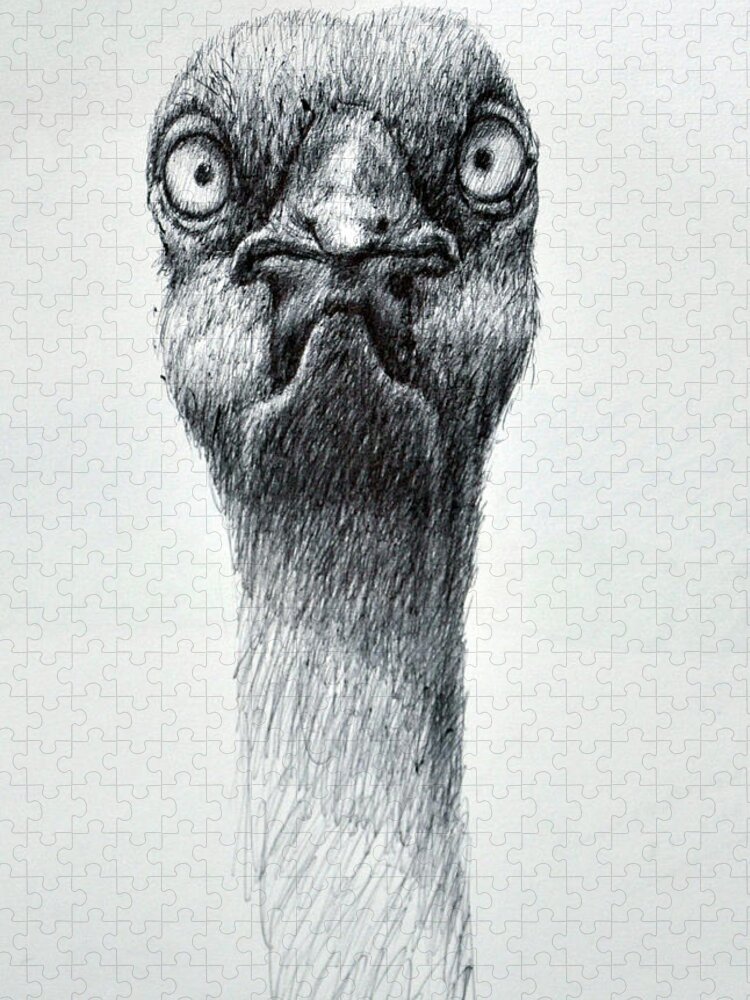 Ostrich Jigsaw Puzzle featuring the drawing Weird Eyed Bird by Rick Hansen