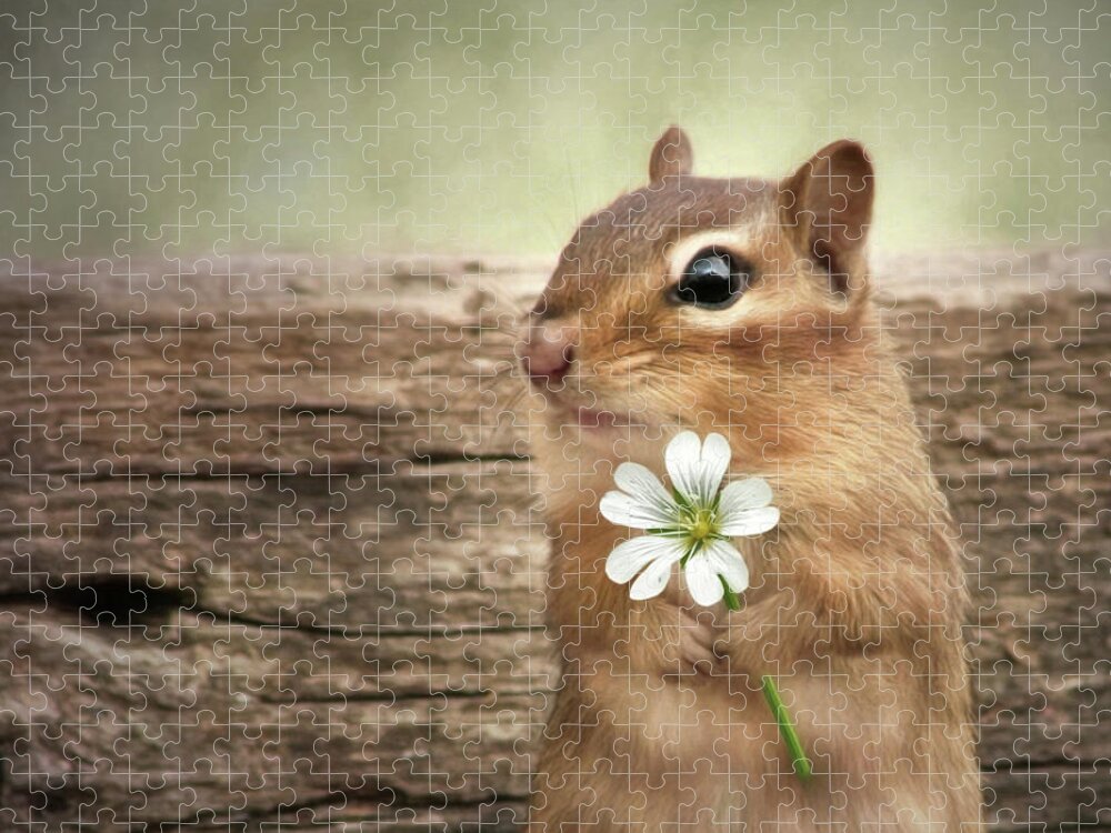 Chipmunk Jigsaw Puzzle featuring the mixed media Welcome Spring by Lori Deiter