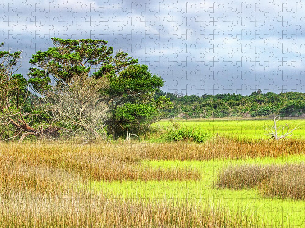 Wetlands Jigsaw Puzzle featuring the photograph Wetlands at Fort Macon State Park - Atlantic Beach NC by Bob Decker