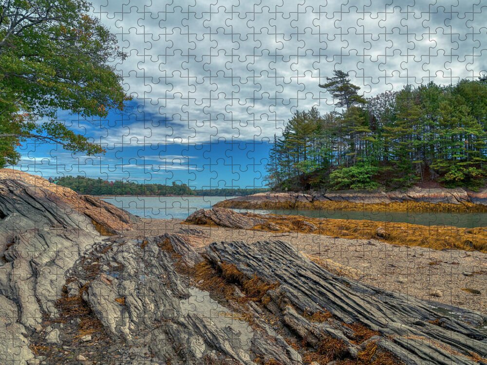 Wolfe Neck Woods State Park Jigsaw Puzzle featuring the photograph What a View by Penny Polakoff