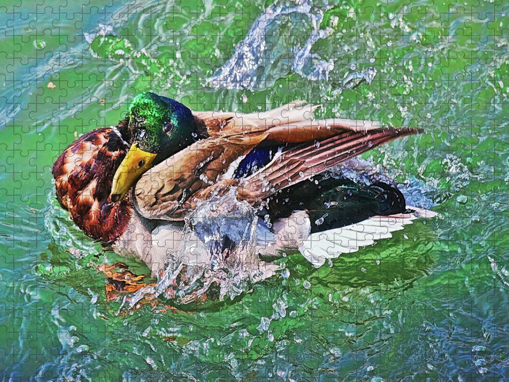 Duck Jigsaw Puzzle featuring the photograph What's wrong? by Tatiana Travelways